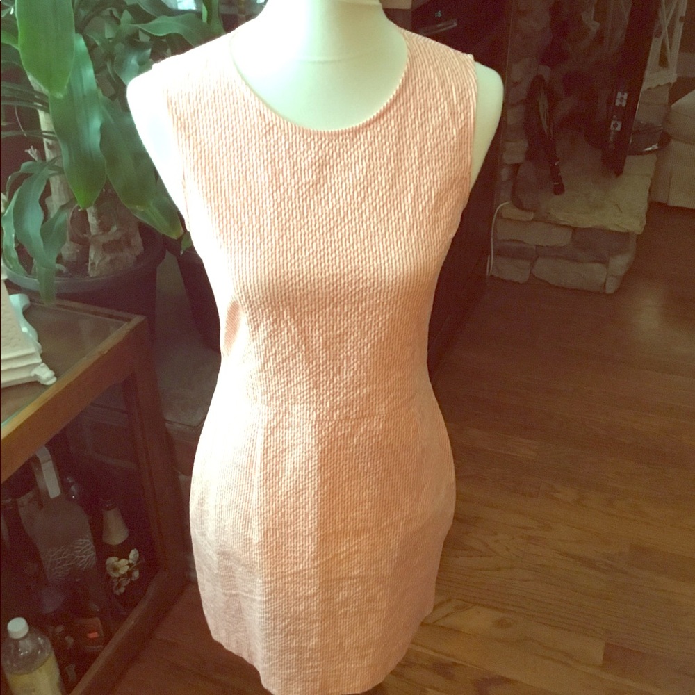 Theory Seer Sucker dress